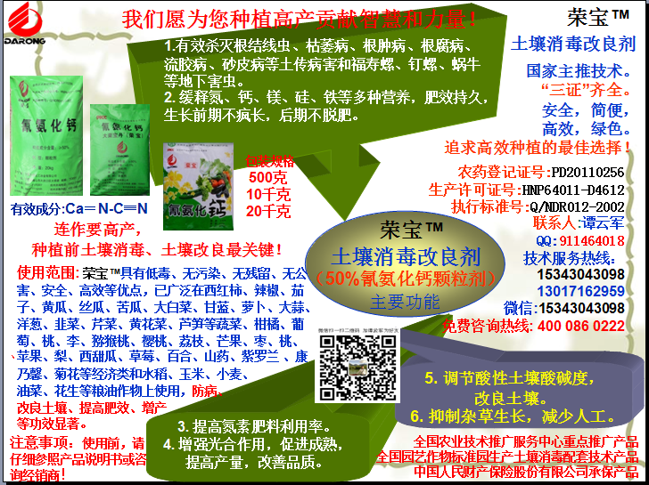 榮寶（氰氨化鈣）顆粒殺菌劑，土壤消毒、緩釋氮鈣營(yíng)養(yǎng)、肥料增效、土壤改良四效合一，殺滅根結(jié)線(xiàn)蟲(chóng)，防治根腫病、根腐病、枯萎病、流膠病、蓮藕腐敗病等土傳病害，殺滅福壽螺、釘螺等地下害蟲(chóng)，解決連作障礙